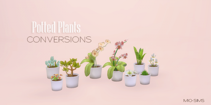 Potted plants2