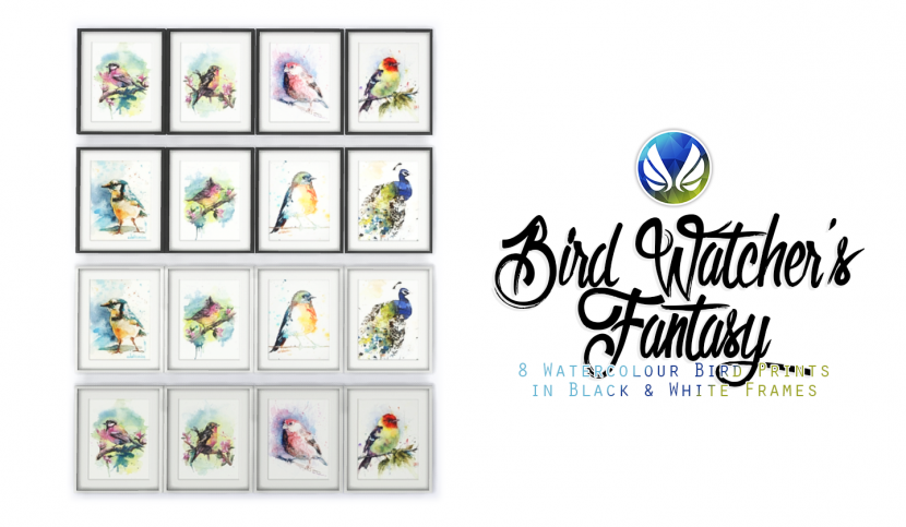 PC-TS4-BirdWatchersFantasyWatercolours-Cover