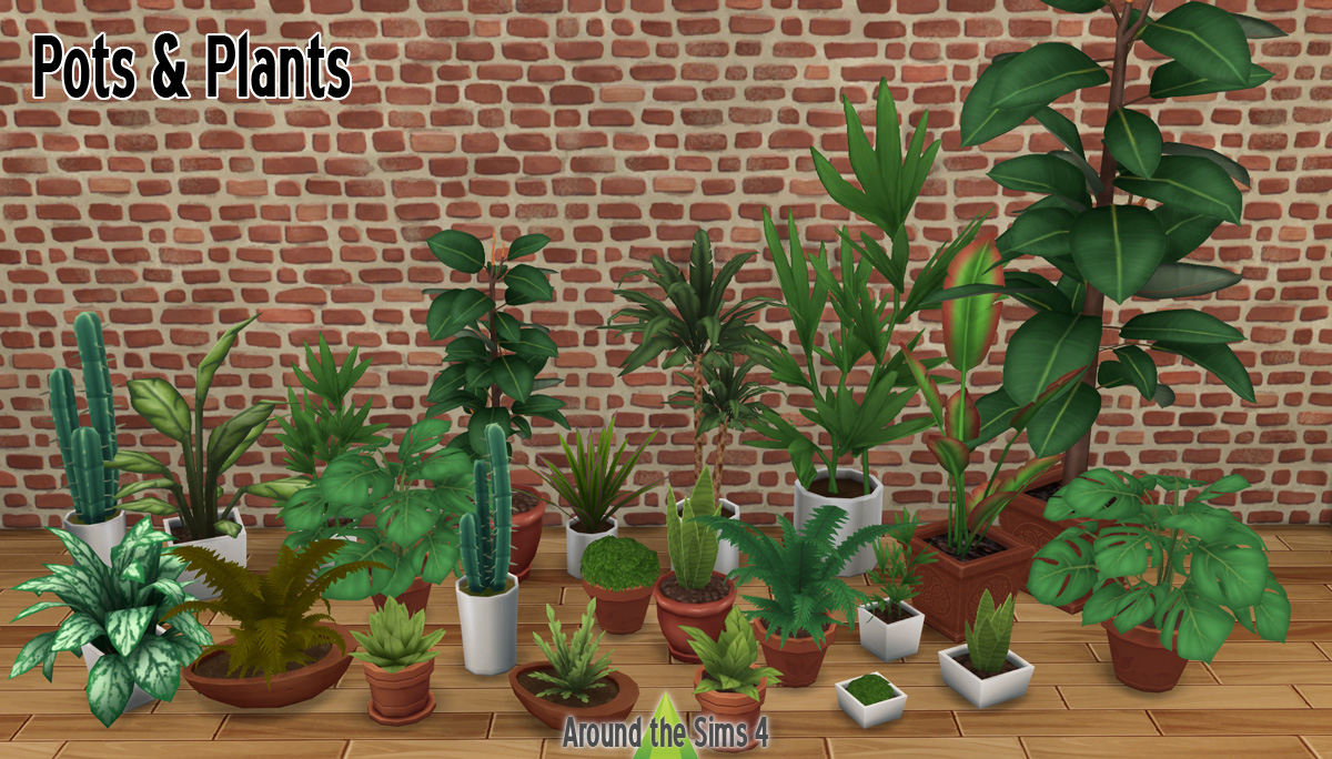 Separated Pots & Plants by Sandy Liquid Sims