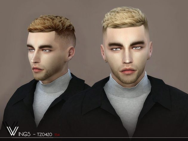 Male Hair Tz0420 By Wingssims Liquid Sims